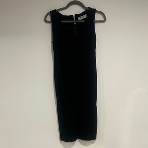 Elegant Black Sleeveless Dress
